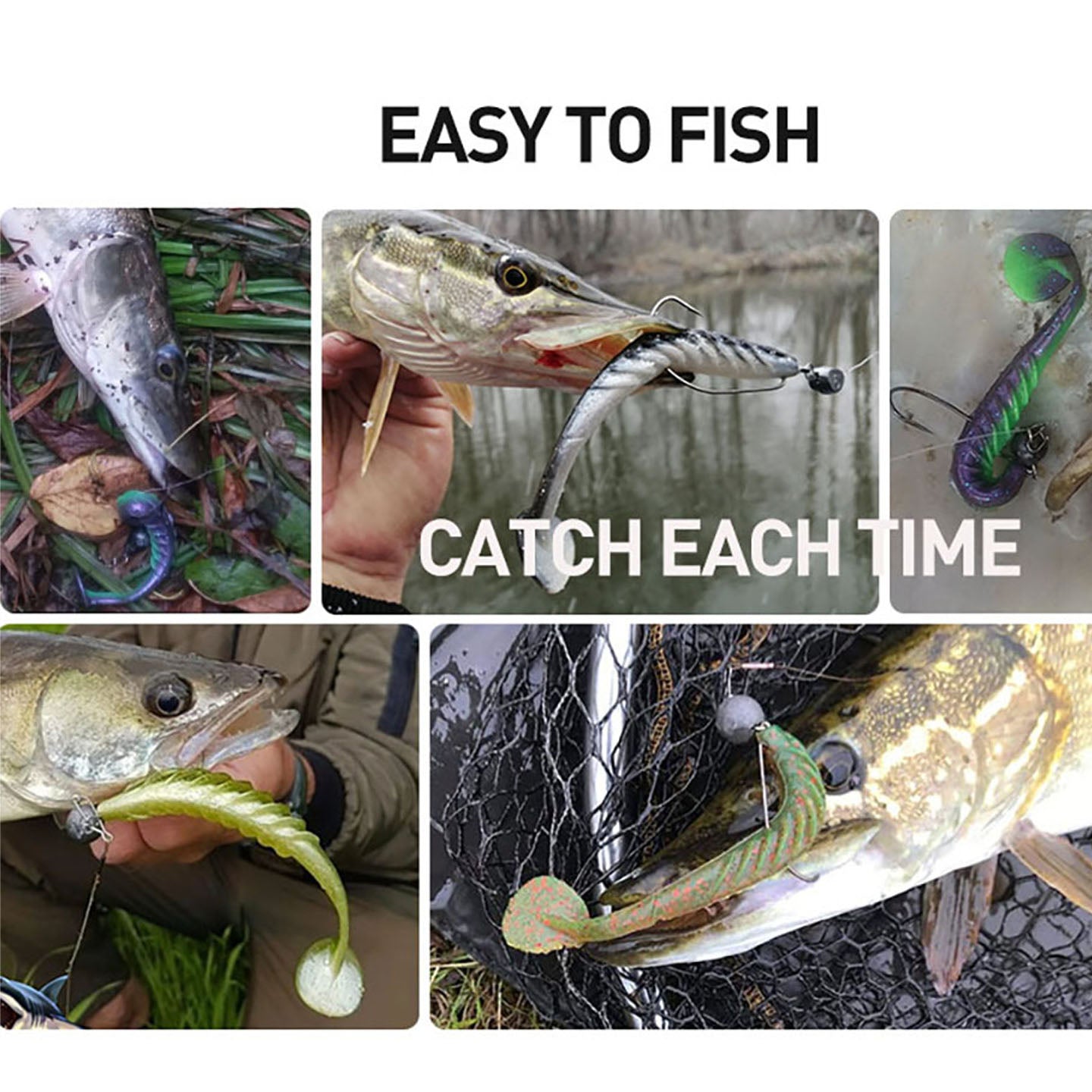 Catch-fishing-easily-lure