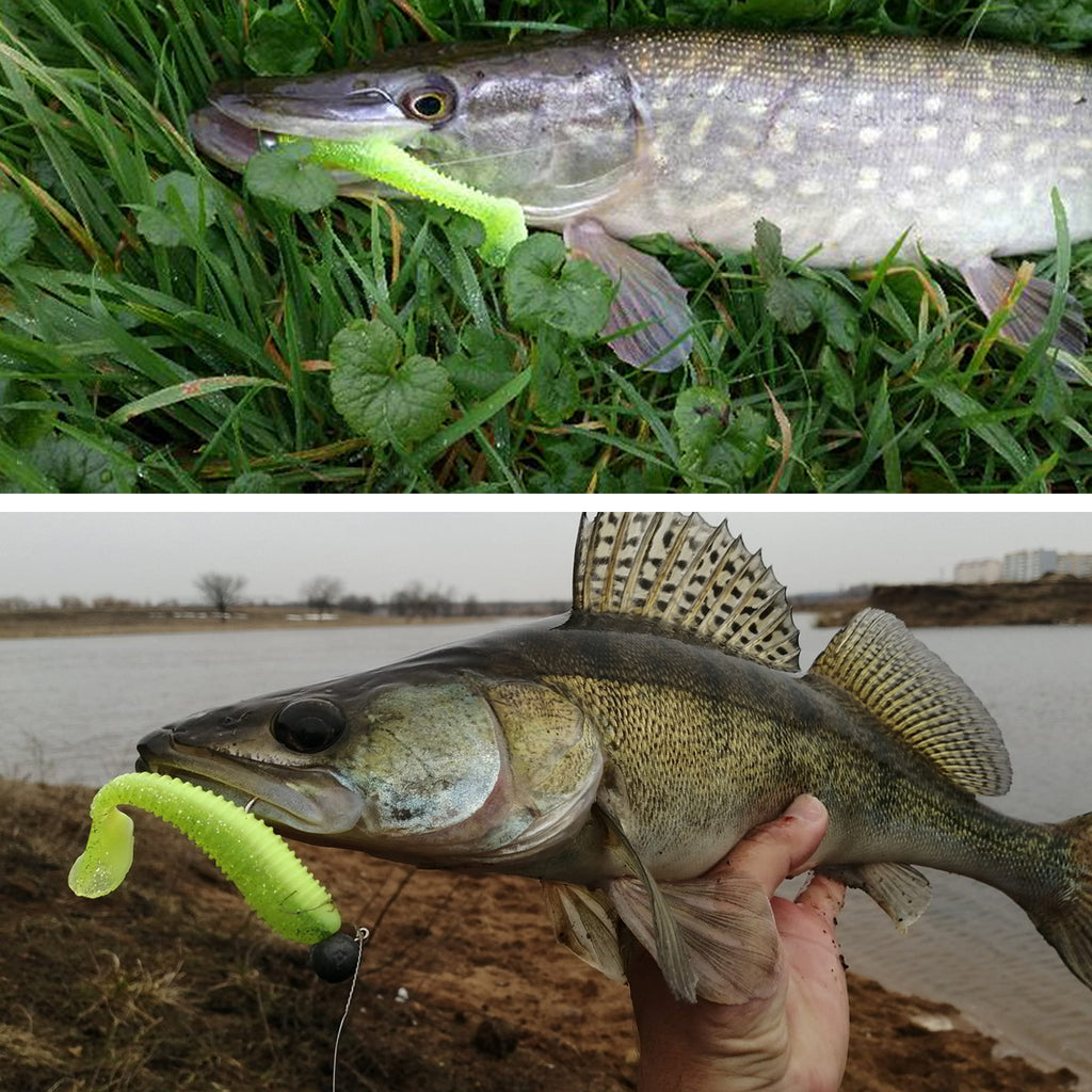 Fishing-easily-catch